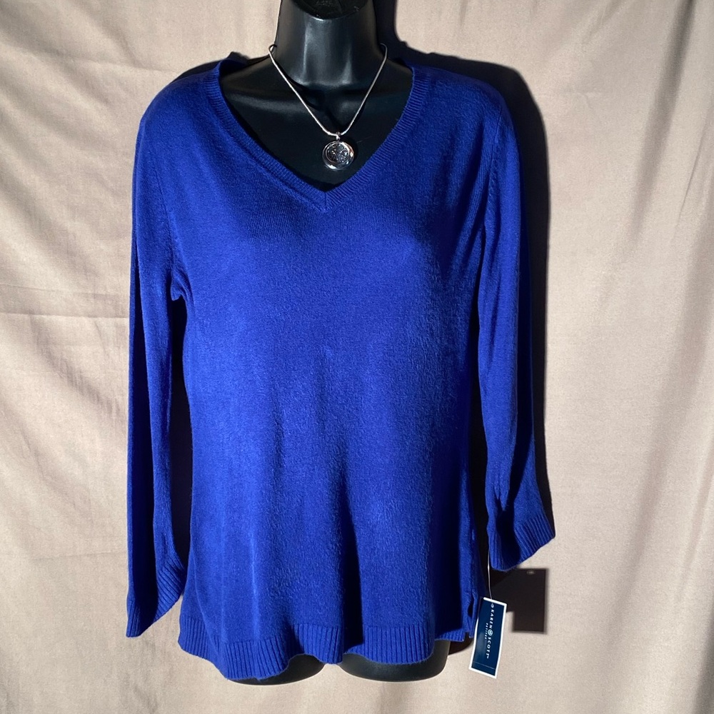 Karen Scott Blue Petite Large Women's V-Neck Sweater